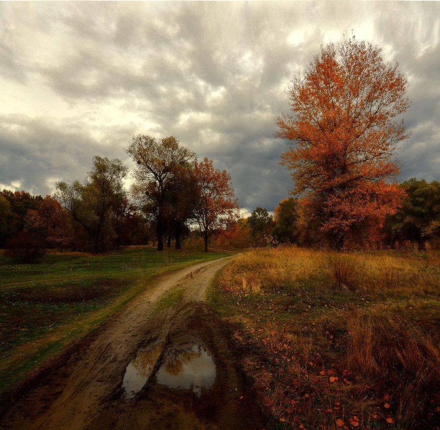 осень дорога вечер, Петриченко Валерий