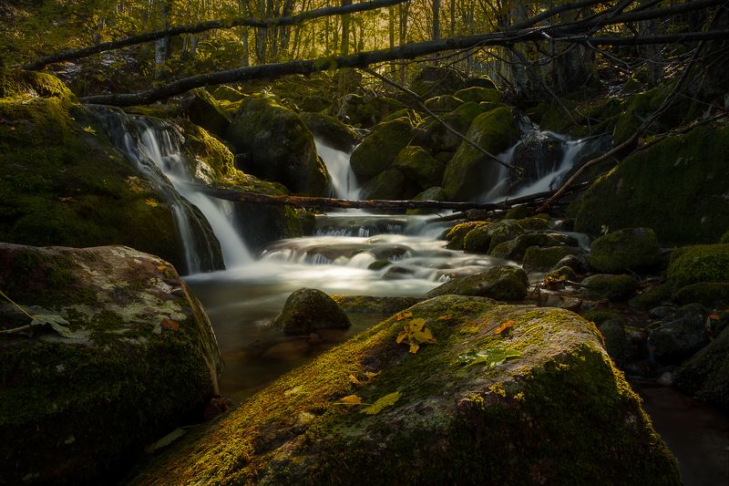 Стара река фото превью