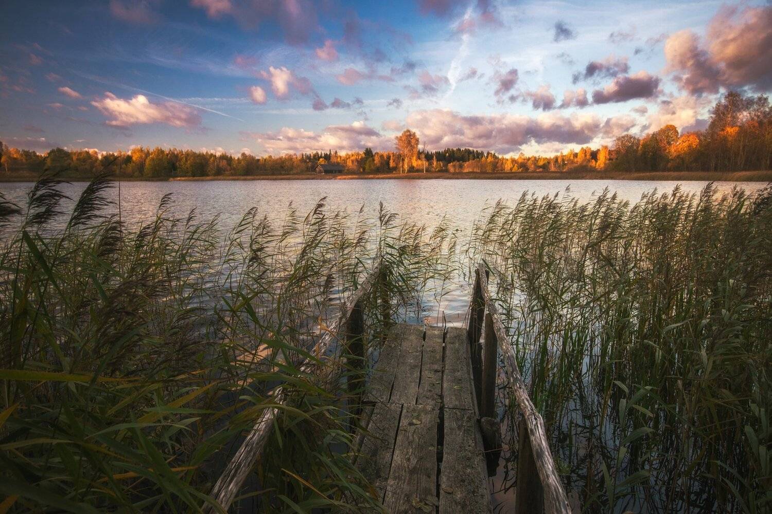 autumn,lake,yellow,clouds,sunset,латвия,озеро,закат,краски, Olegs Bucis