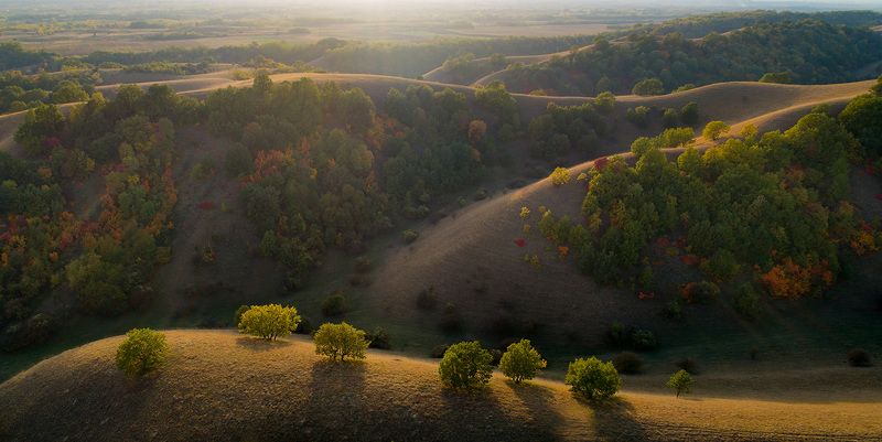 Дине фото превью