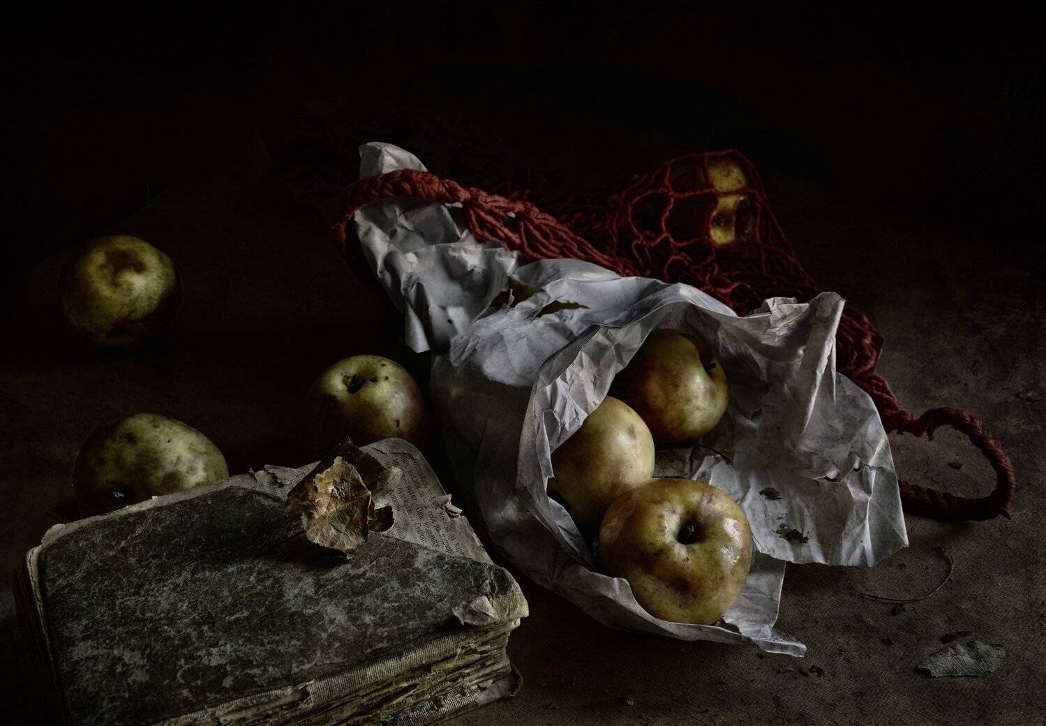 , Ирина Данилова