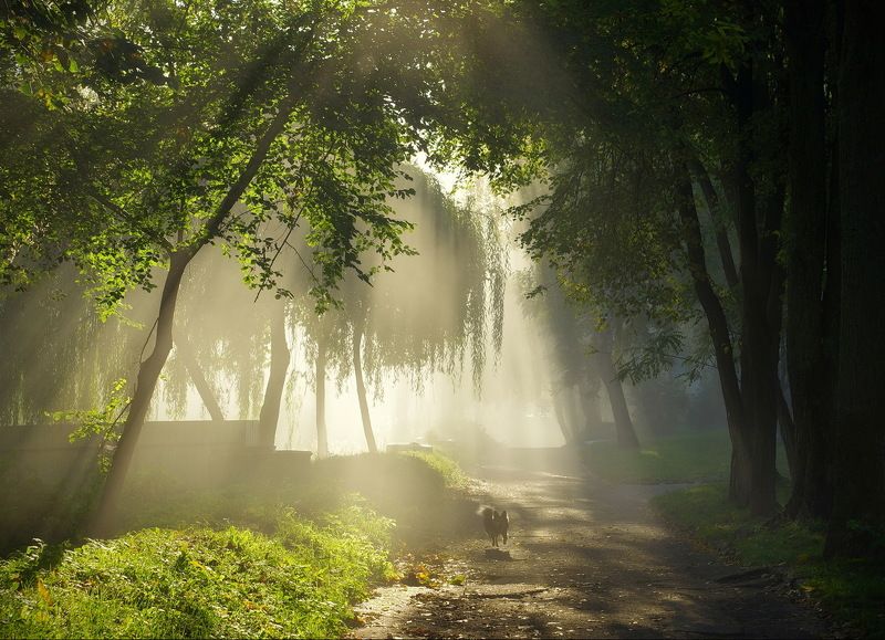 Солнечный \