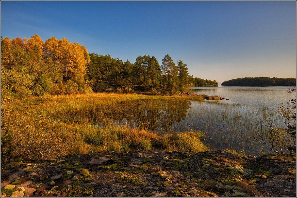 карелия, ладожское озеро, осень, АНАТОЛИЙ ДОВЫДЕНКО