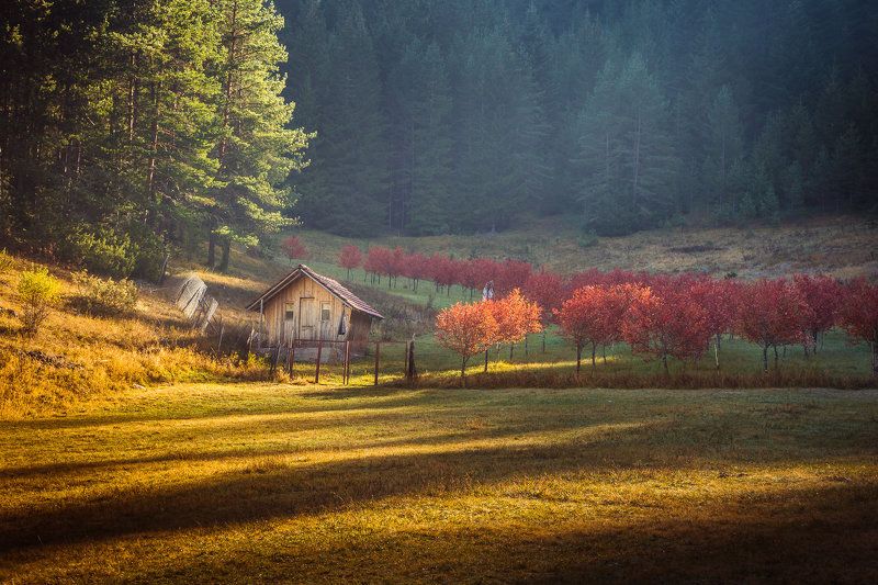 Autumn фото превью