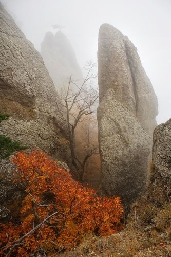 Осенние туманы на Демерджи