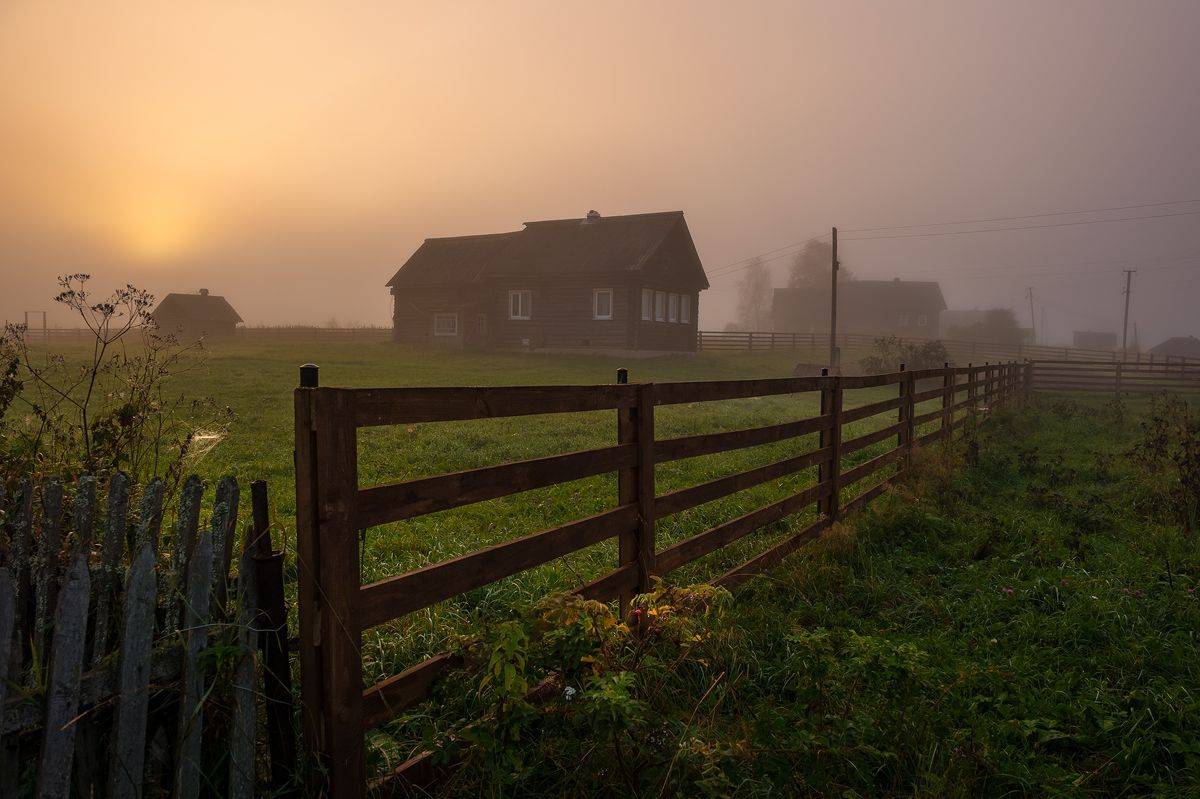природа,утро,осень,туман,дома,деревня,рассвет,россия.ленинградская область, Юлия Лаптева