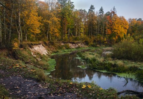 Осень на реке