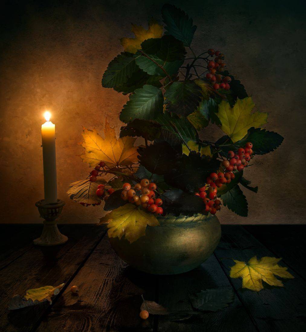 , Елена Брежицкая