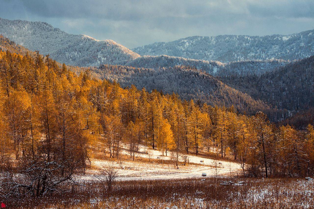 , Осипов Ёжъ Александр