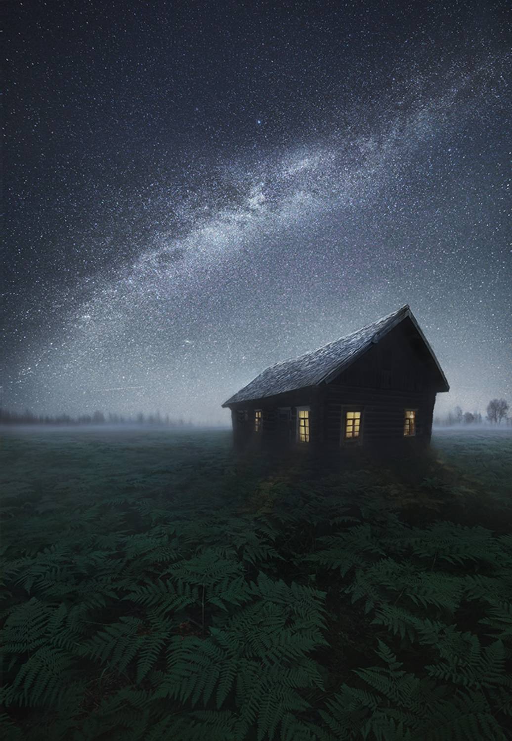 , Дeнис Бoдрoв