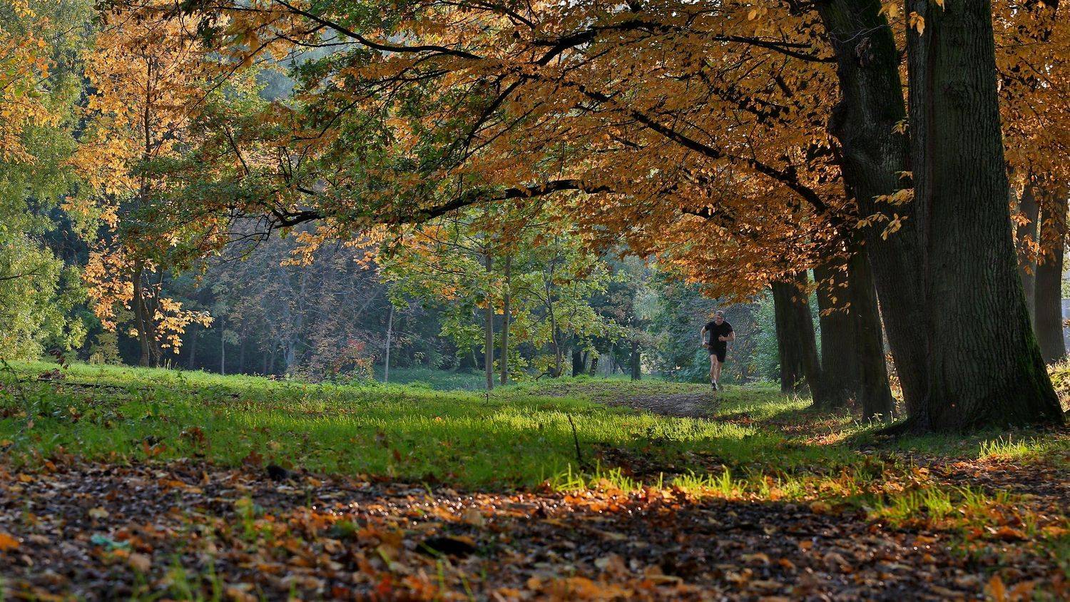 , Эдуард Колобошников