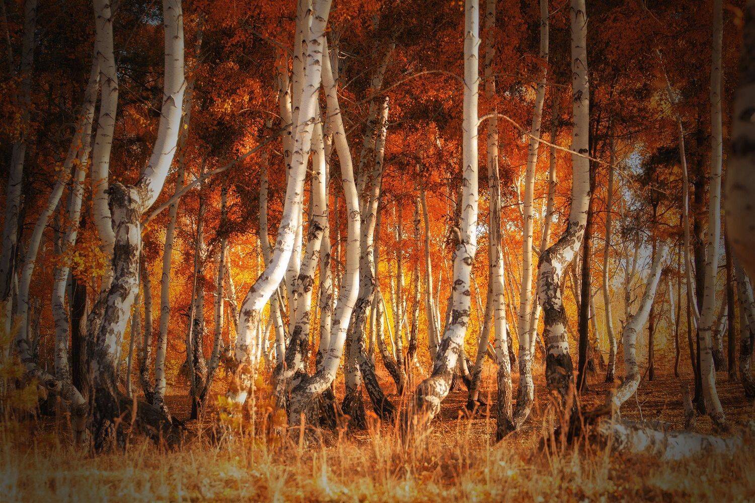 , Павел Сагайдак