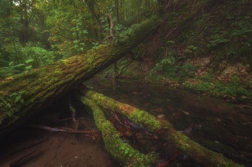 По каньону Бунчихи