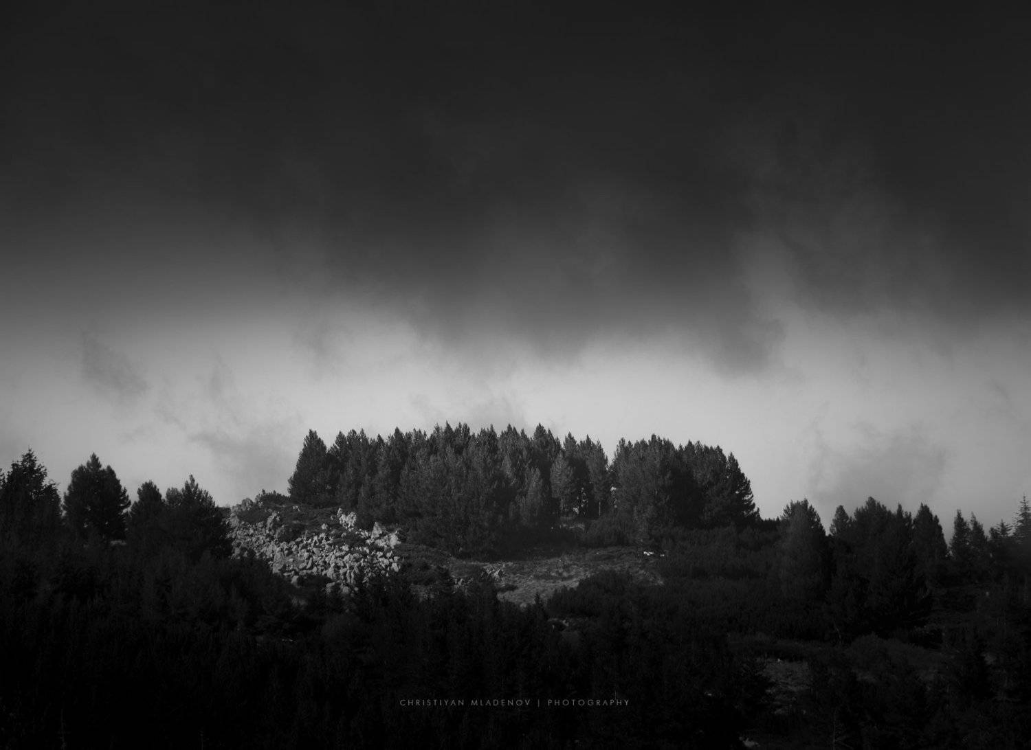 landscape, mist, fog, rain, vitosha, bulgaria, mountain, autumn, fall, pines, light, haze, trees, forrest, hills, black and white, Кристиян Младенов