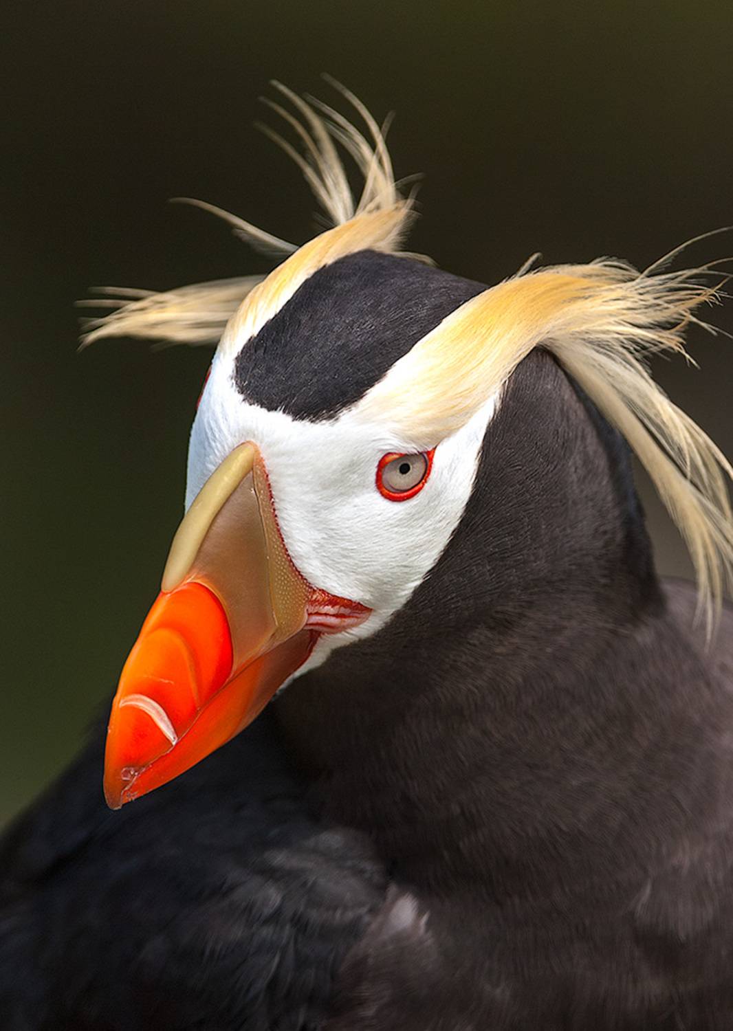 , Сергей Иванов