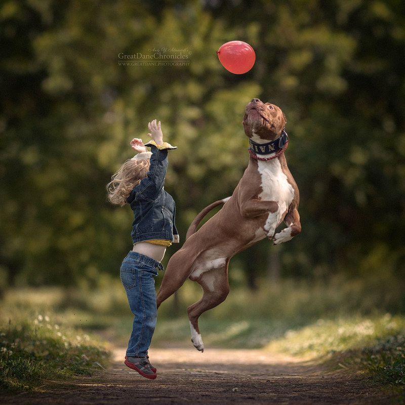Red balloon фото превью