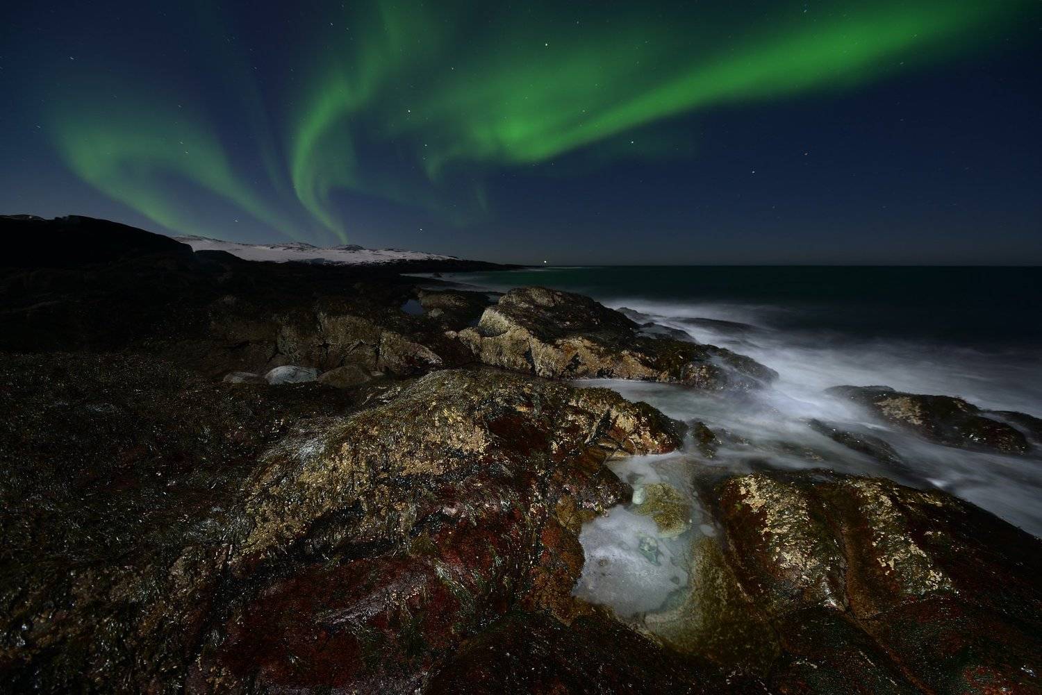 , Максим Евдокимов (www.wildphotorus.ru)