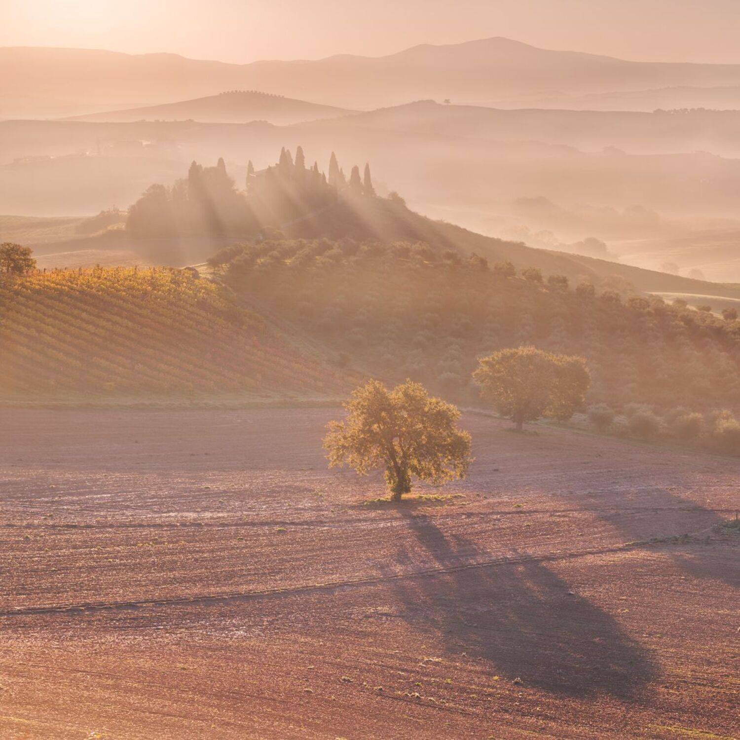 sv-phototravel.com, тоскана, Валерий Щербина (sv-phototravel.com)