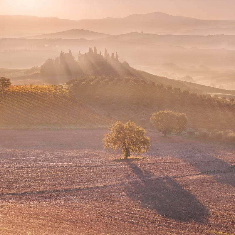 sv-phototravel.com, тоскана Под солнцем Тосканы фото превью