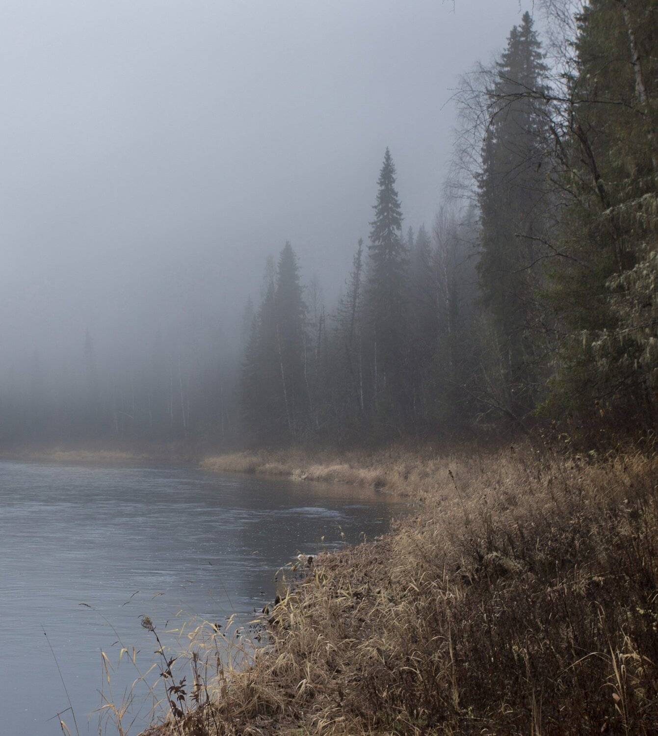 , Федотов Сергей