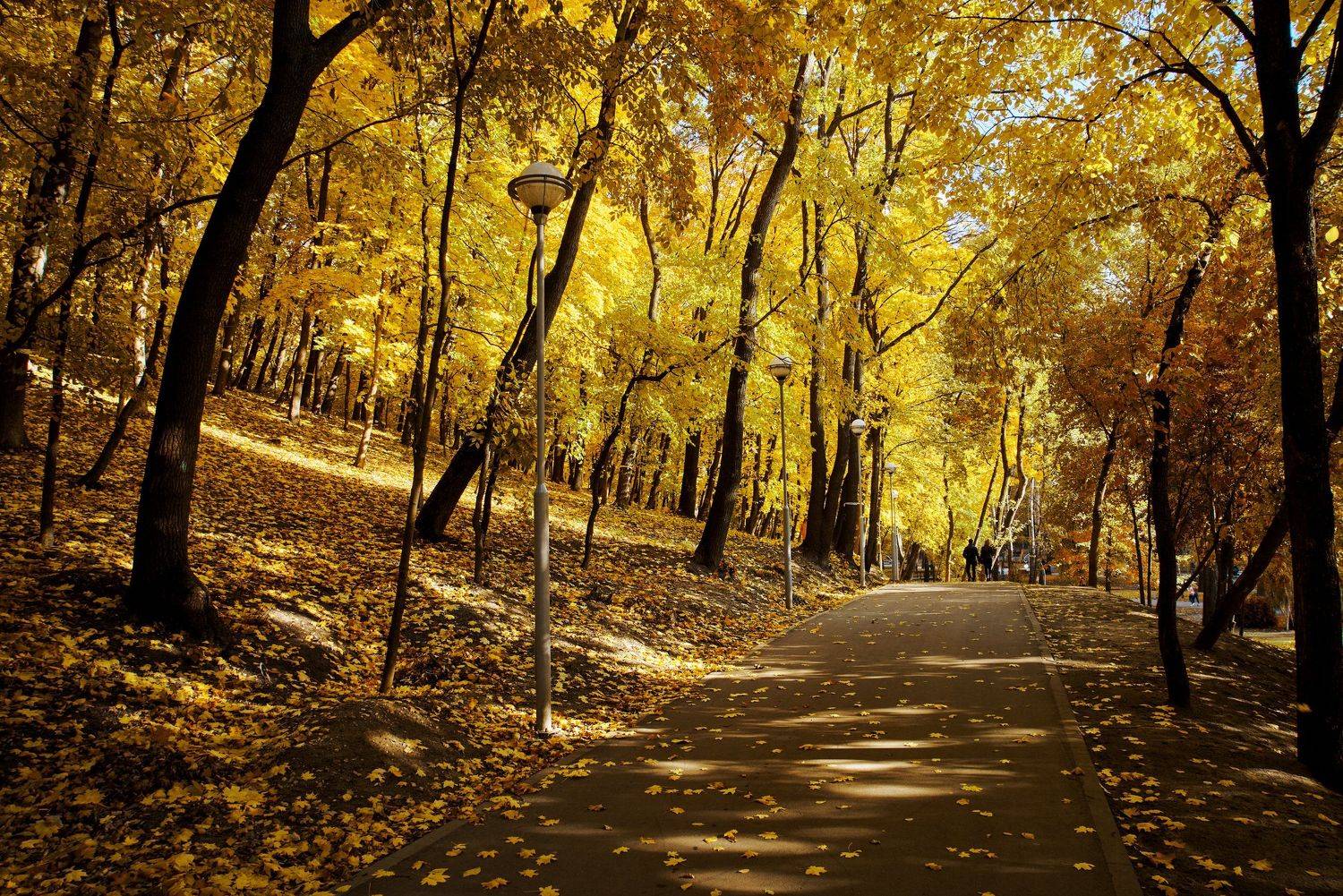 Воронеж,осень, Сячин Саша