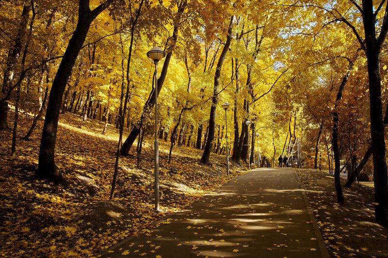 Воронеж,осень Осенний парк фото превью