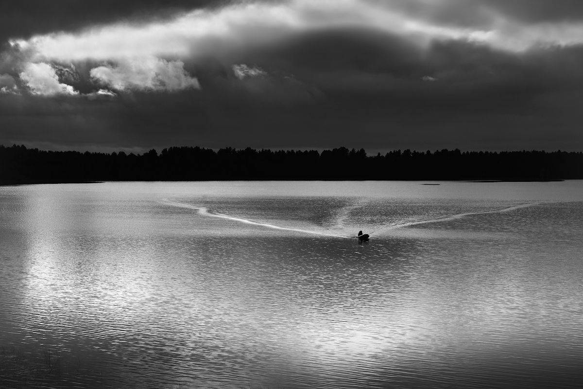 , Марина Никифорова