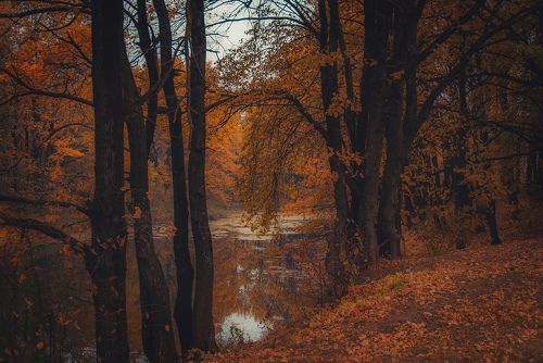 Осенняя меланхолия