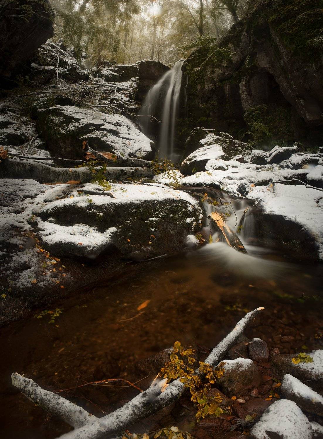 , Борислав Попов