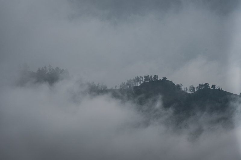 Алтай, fog, landscape, mountains туман фото превью