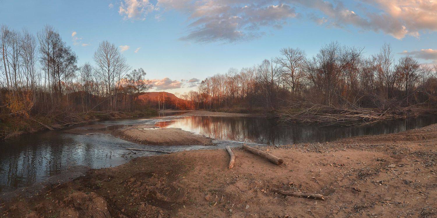 , Шинкарева Елена