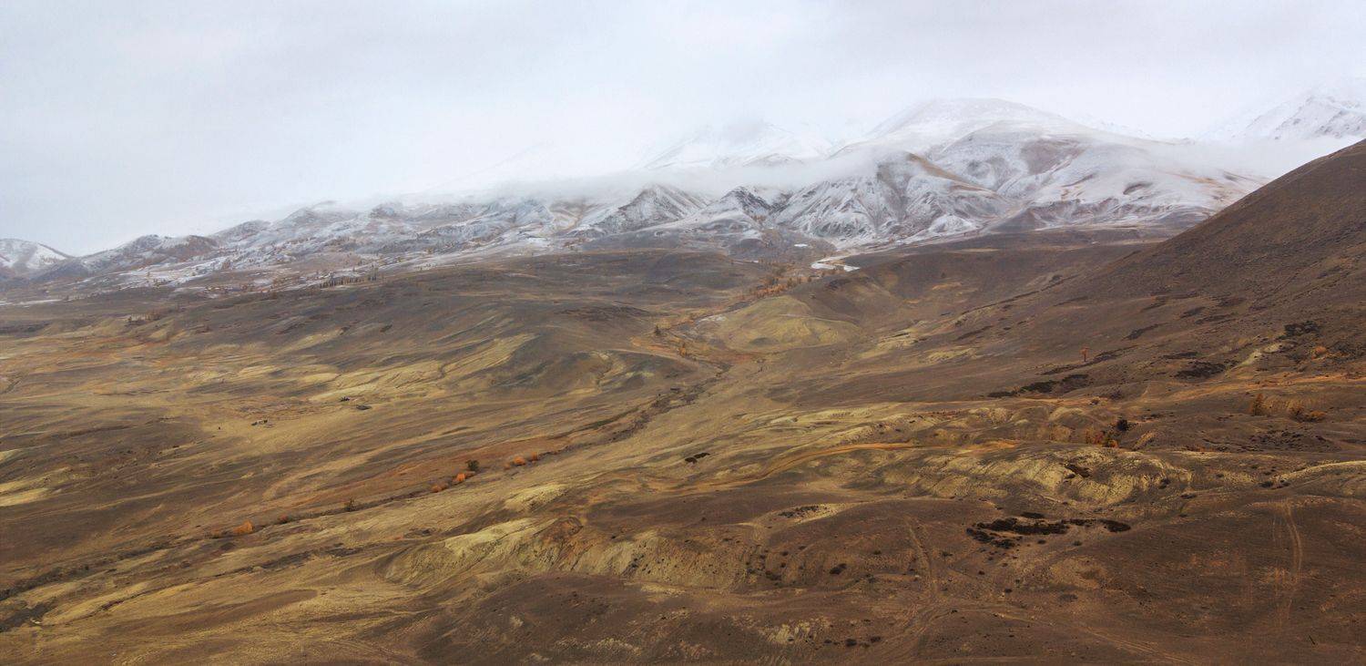 , Дмитрий Д.