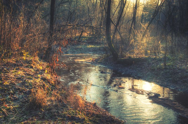 осень, река, вода, тень, свет, закат Река Самынка фото превью