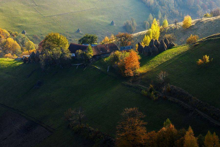 , Stefan Chirobocea