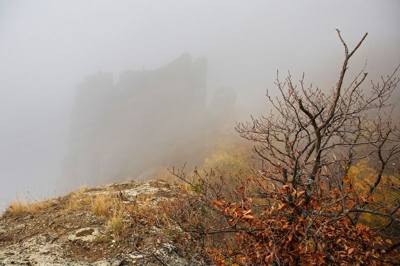крым, демерджи, октябрь, туман, 5d Осенние туманы Демерджи фото превью