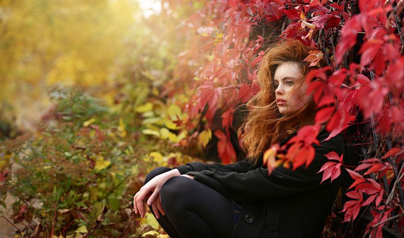 17.10.17 - один день октября. фото превью