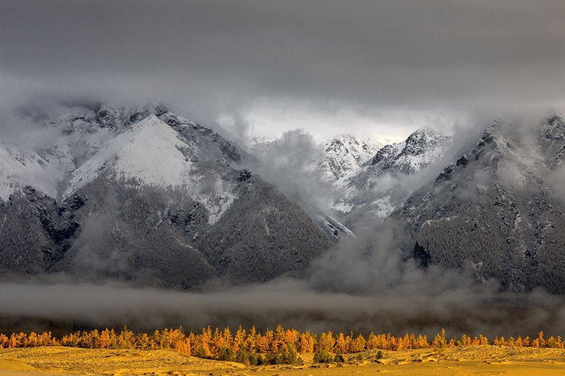 , Андрей Ершов