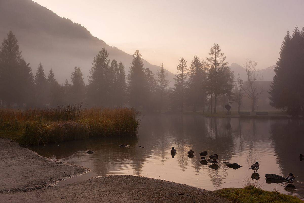 , Света  Черникова