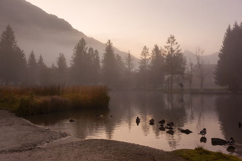 Светало... фото превью