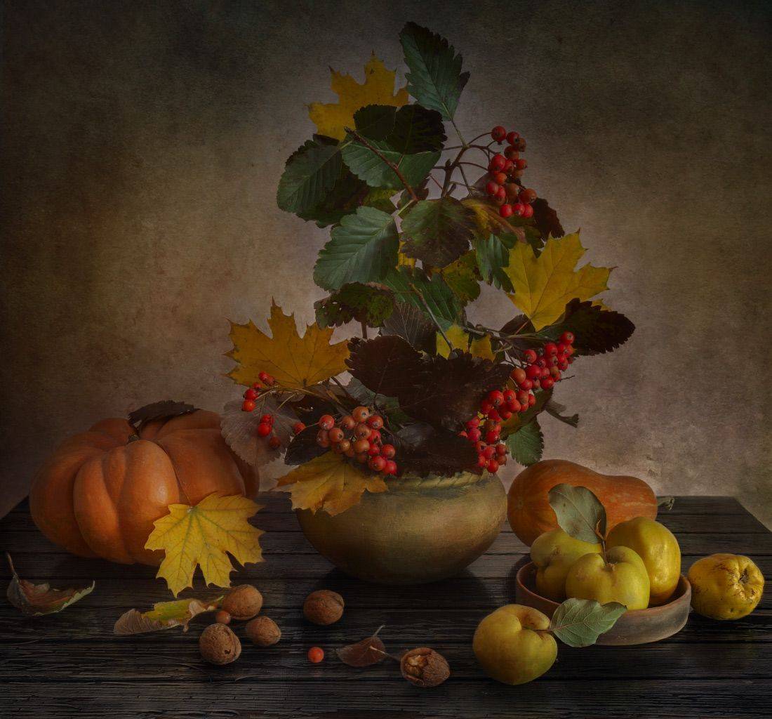 , Елена Брежицкая