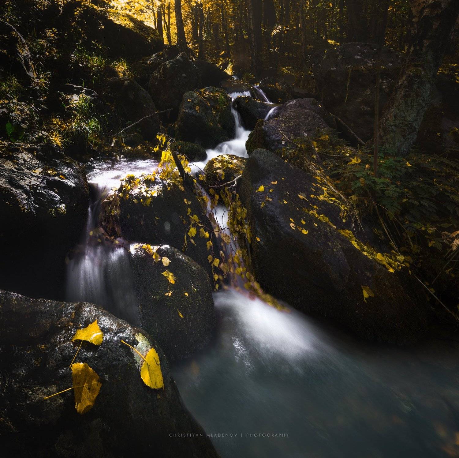 autumn, fall, landscape, trees, forest, woods, bulgaria, colors, nature, fog, mist, rain, october, waterfall, creek, long exposure, woods, leaves, Кристиян Младенов