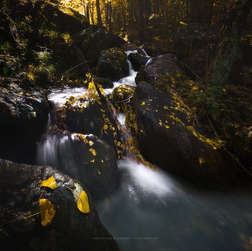 WaterFall Day