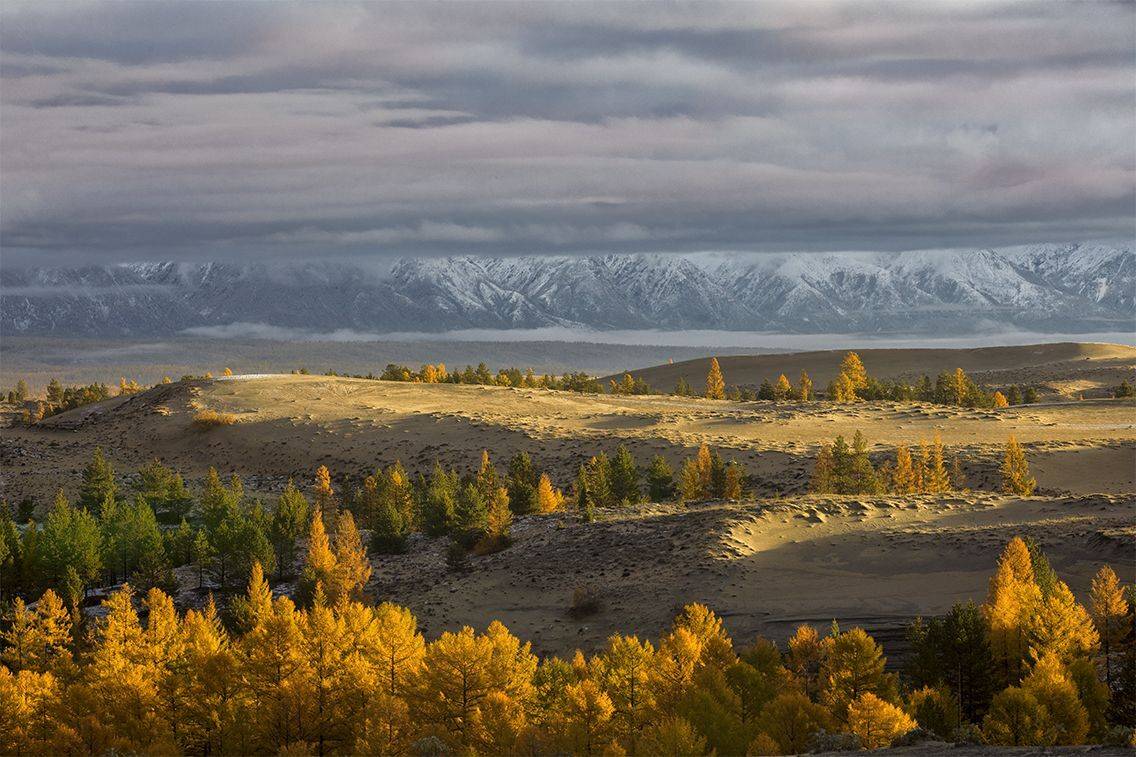 , Андрей Ершов