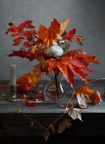 Симфония для 