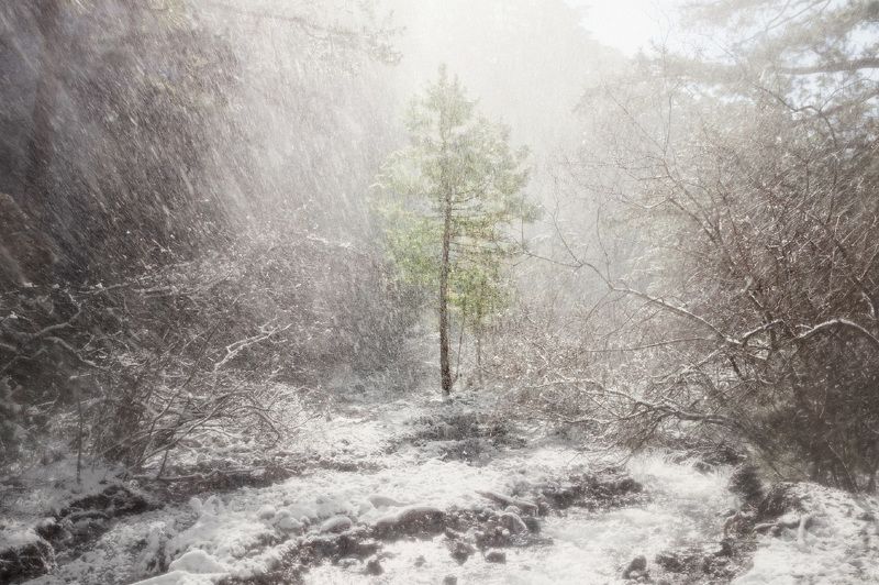 *** фото превью