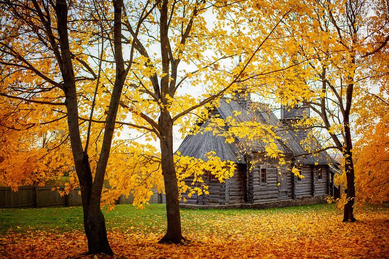 Autumn in Great Boldino фото превью