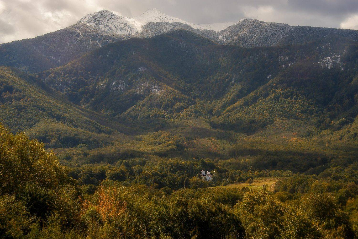 , Борислав Попов