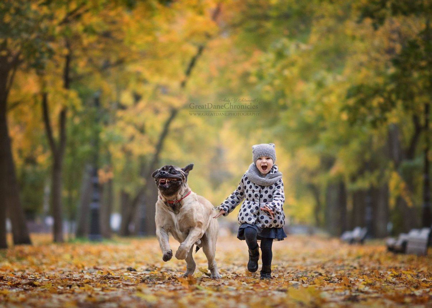 , Андрей Селиверстов