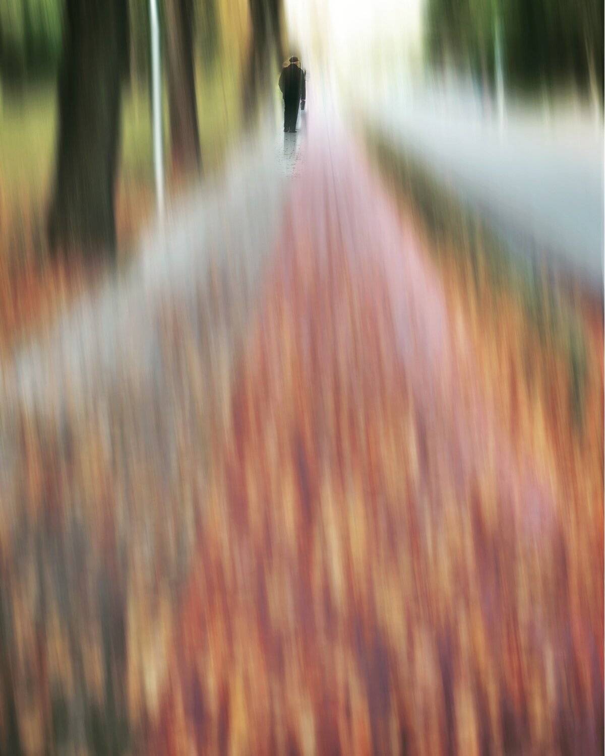 #iphone, #picsart, #lithuania, #palanga, Artur Politov