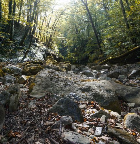 По следу каменной реки.